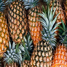 SBJEI-FRESH PINEAPPLE